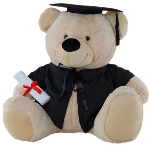 BEAR IN GRADUATION OUTFIT