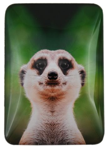 MAGNET MEERKAT HEADSHOT 48MMX68MM