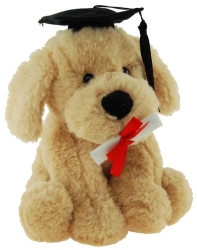 DOG BUDDY GRADUATION 18CM