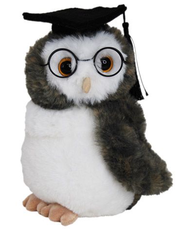 GRADUATION OWL 18CM