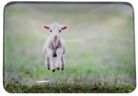 MAGNET LAMB 48MMX68MM