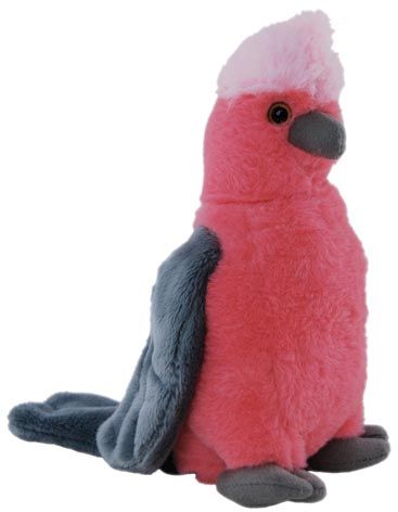 GALAH W/SOUND CHIP18CM