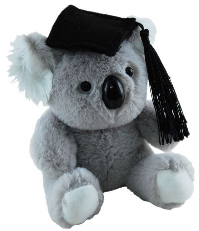 KOALA GRADUATION 11CM