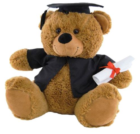 BEAR IN GRADUATION OUTFIT 40CM