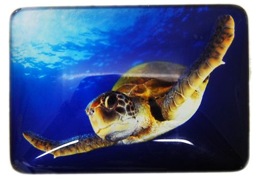 MAGNET SEA TURTLE SWIM 48MMX68MM