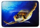 MAGNET SEA TURTLE SWIM 48MMX68MM