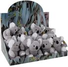 KOALA IN DISPLAY BOX (16 PCS)