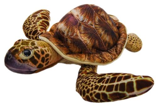 TURTLE TURBO 30CM - BROWN