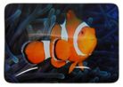 MAGNET CLOWN FISH BLUE 48MMX68MM