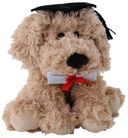 DOG MAX GRADUATION 23CM