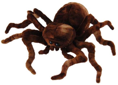 SPIDER BROWN 21CM