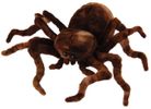 SPIDER BROWN 21CM