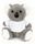 KOALA WITH SHIRT