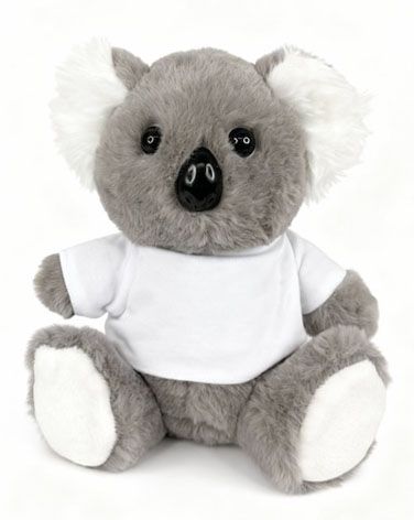 KOALA WITH SHIRT