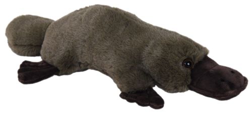 PLATYPUS 35CM