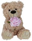 BEAR TILLY W/PINK ROSE BEIGE 24CM