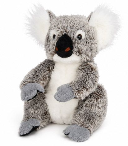 KOALA JARRAH 30CM *SP