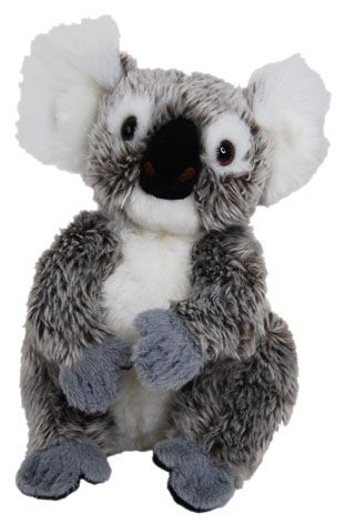 KOALA JARRAH 30CM