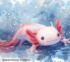 COASTER - AXOLOTL WC