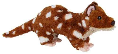 QUOLL CHILPA 20CM