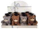 BEAR GABBY GRADUATION 12 IN DISPLAY 12CM