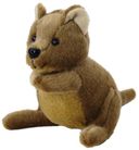 QUOKKA SMALL 16CM