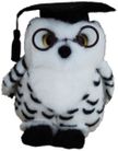 GRADUATION SPOTTED OWL 18CM