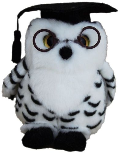 GRADUATION SPOTTED OWL 18CM