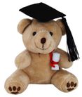 TINY GRADUATION BEAR (10CM)