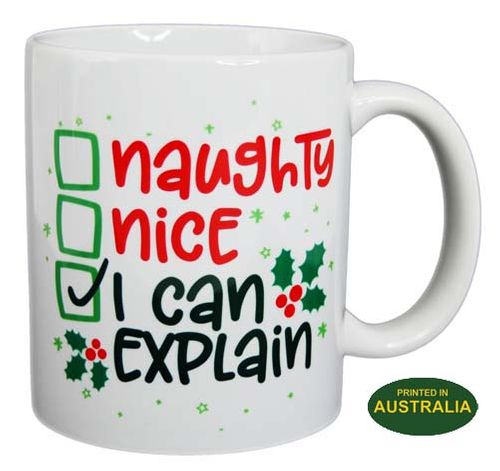 COFFEE MUG - NAUGHTY NICE EXPLAIN