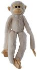 SPIDER MONKEY LONGLEGS CREAM