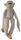SPIDER MONKEY LONGLEGS CREAM