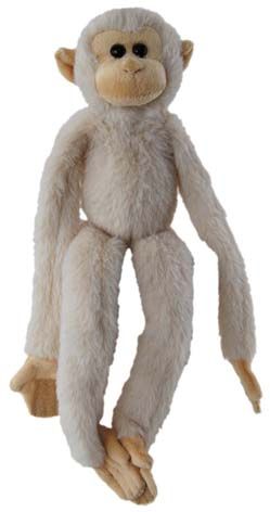 SPIDER MONKEY LONGLEGS CREAM