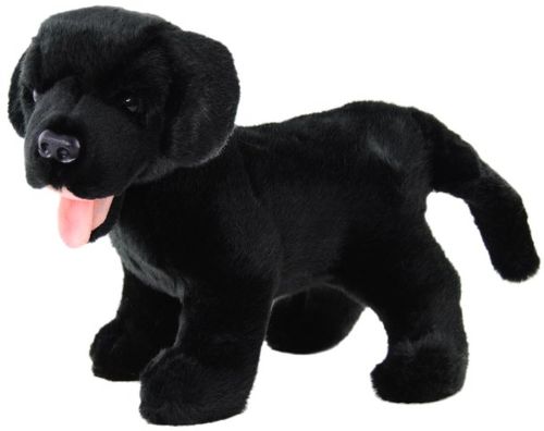 DOG LABRADOR SAM : BLACK