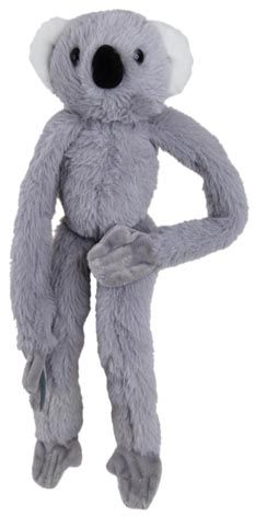SPIDER KOALA