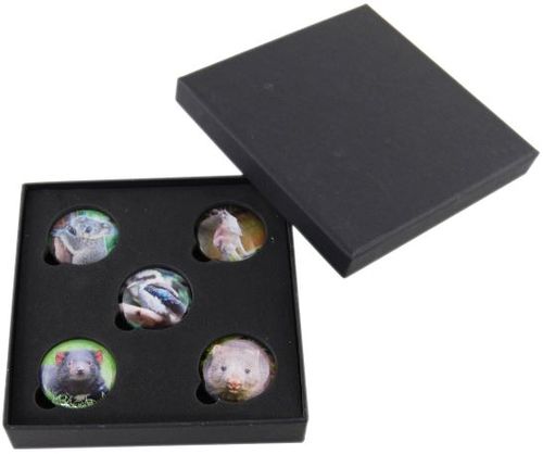 MAGNET BOX AUSSIE  5 X 35MM