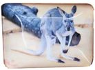 MAGNET KANGAROO 48MMX68MM