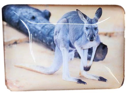 MAGNET KANGAROO 48MMX68MM