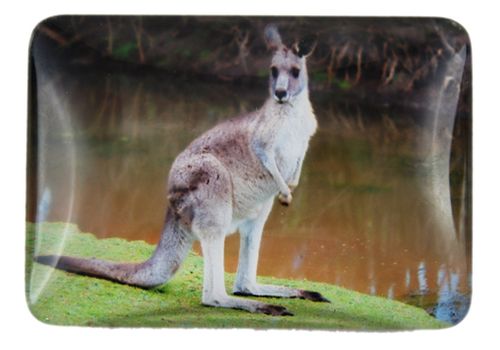 MAGNET KANGAROO SITTING 48MMX68MM