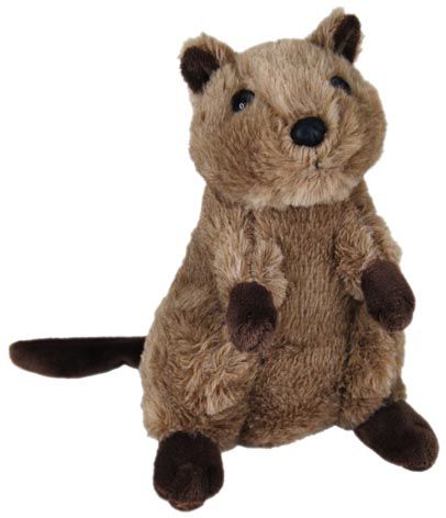 QUOKKA SITTING 16CM