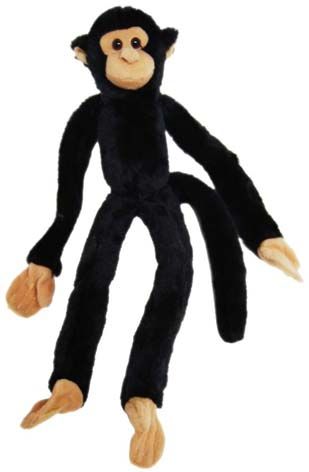 MONKEY LONGLEGS: BLACK SPIDER