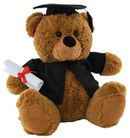 BEAR IN GRADUATION OUTFIT 30CM