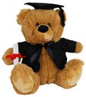 BEAR IN GRADUATION OUTFIT 30CM