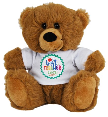 BEAR BEST TEACHER EVER SHIRT 18CM