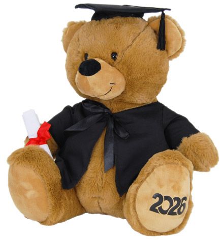BEAR IN GRADUATION OUTFIT 2026 40CM