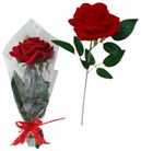 SINGLE RED ROSE