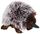ECHIDNA SPIKE 24CM