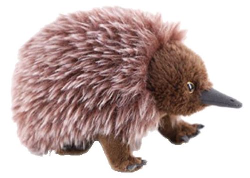 ECHIDNA SPIKE 24CM