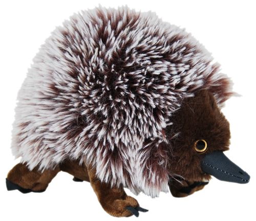 ECHIDNA SPIKE 24CM