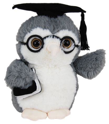 GRADUATION OWL WITH BOOK 18CM